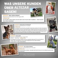 ALTEZAR Feuerrotes Hundehalsband aus Leder Doppel-Tribal Feuerrot Handgemacht in Mexiko - Größe M