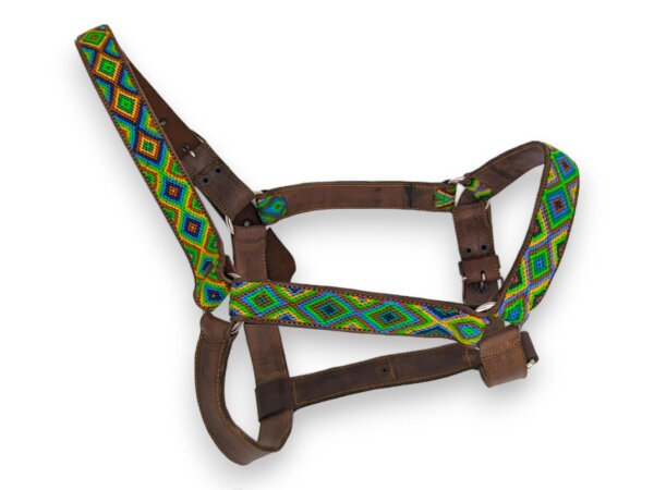 ALTEZAR Pferdehalfter Leder Verstellbar Grün Gelb Blau Handgemacht aus Mexiko