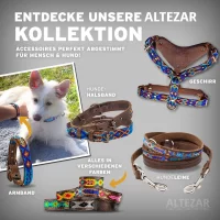 ALTEZAR Hundeleine Leder Schmal Tribal Handgemacht in Mexiko für kleine Hunde Feuerrot